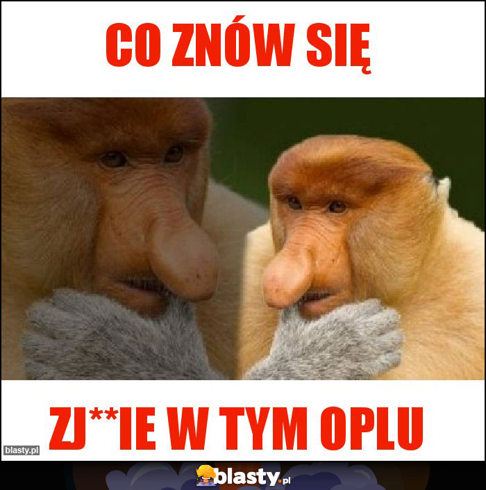 Co znów się