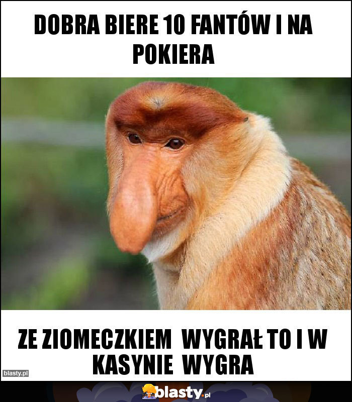 Dobra Biere 10 fantów i na pokiera