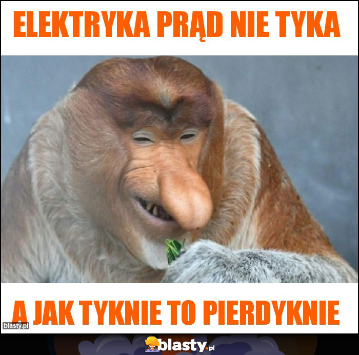 Elektryka prąd nie tyka
