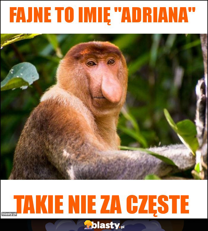 fajne to imię 