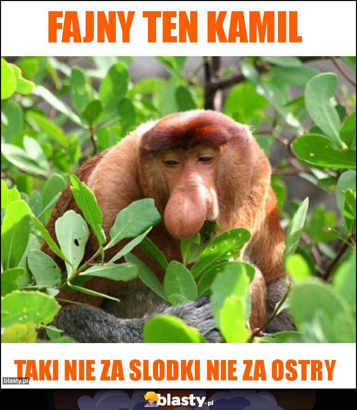 Fajny ten Kamil