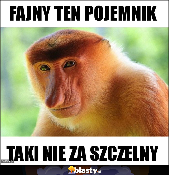 Fajny ten pojemnik