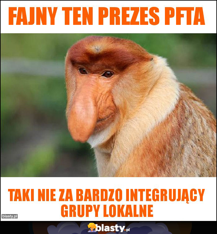 Fajny ten prezes PFTA