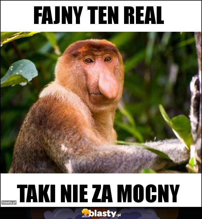 FAJNY TEN REAL