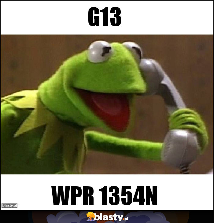 G13