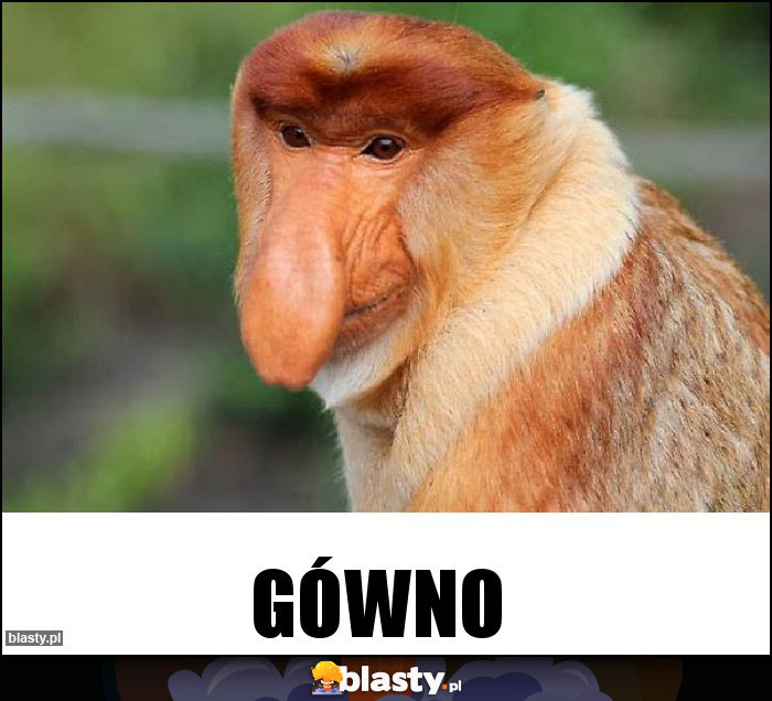 GÓWNO