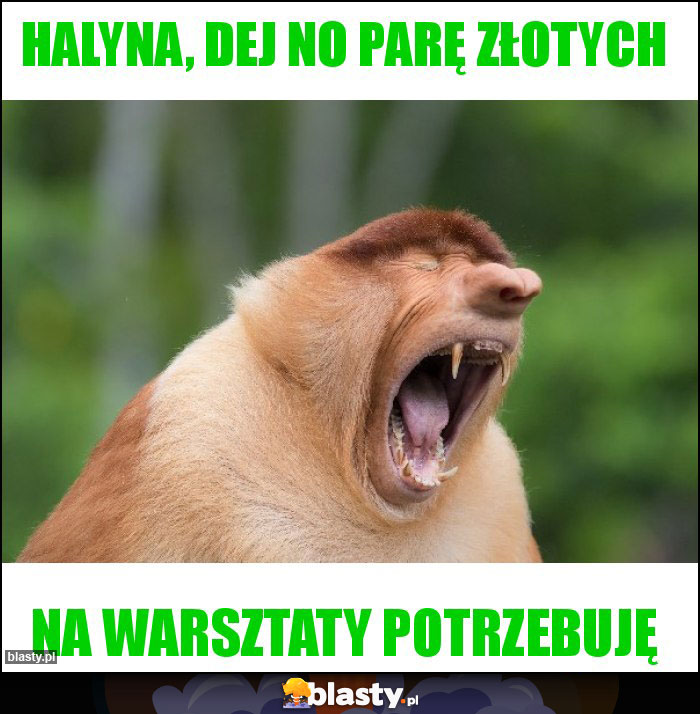 Halyna, dej no parę złotych