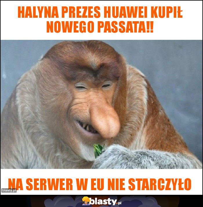 HALYNA PREZES HUAWEI KUPIŁ NOWEGO PASSATA!!