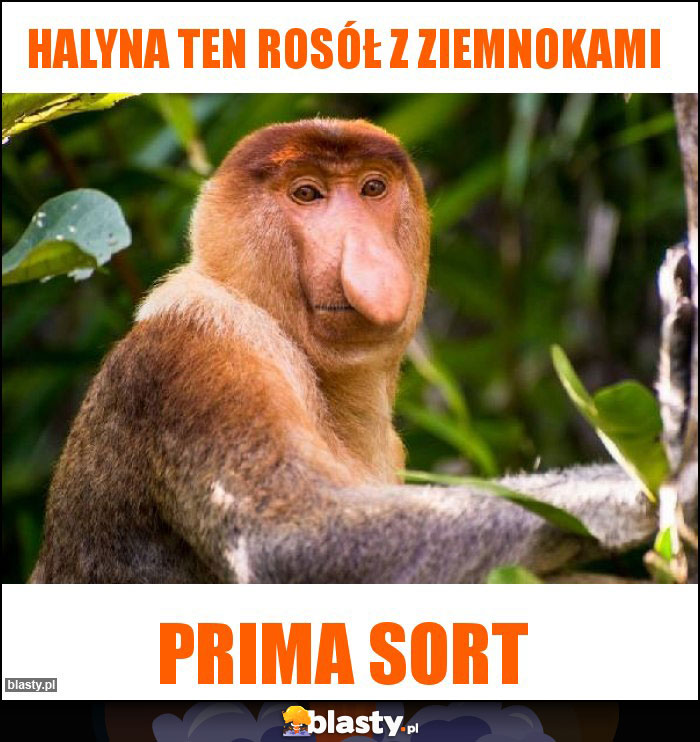 Halyna ten rosół z ziemnokami