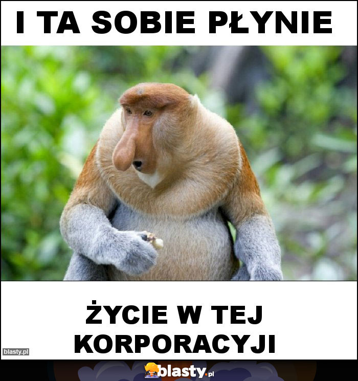 i ta sobie płynie