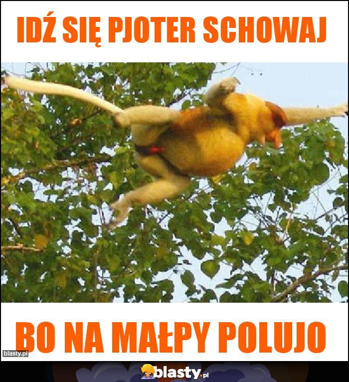 Idź się pjoter schowaj