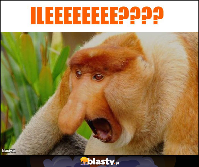 Ileeeeeeee????