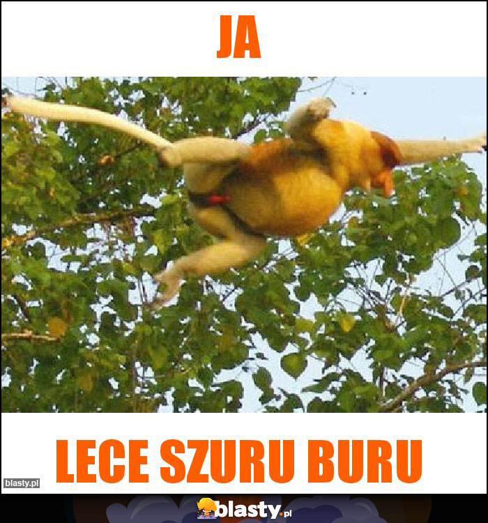 JA