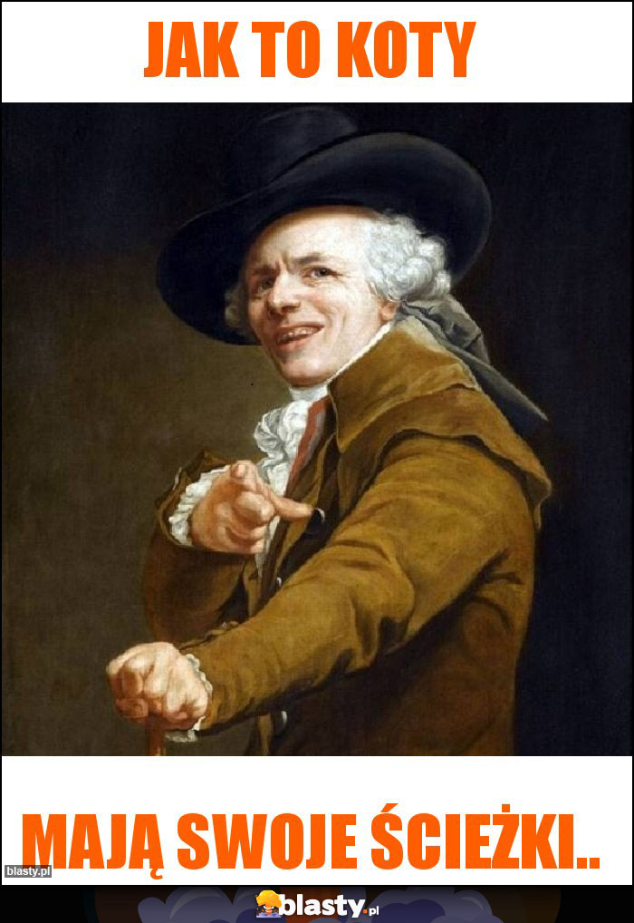 Jak to koty