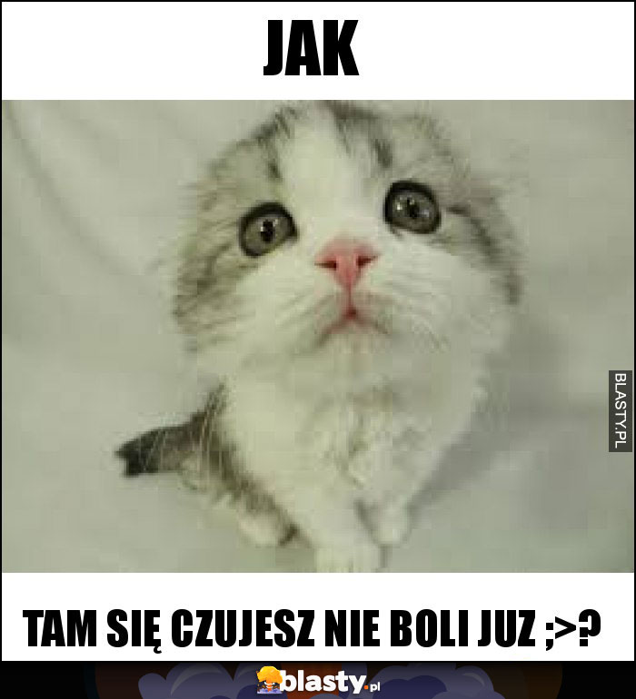 Jak