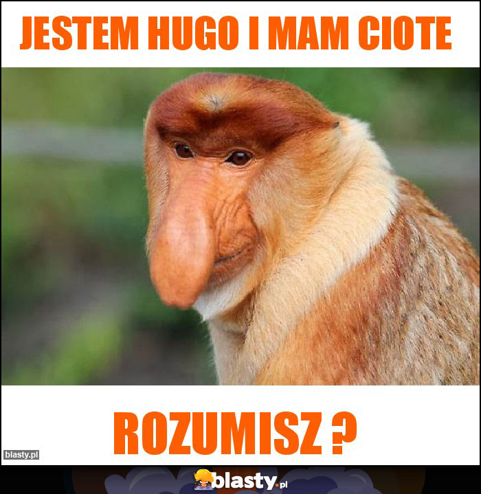 Jestem Hugo i MAM CIOTE