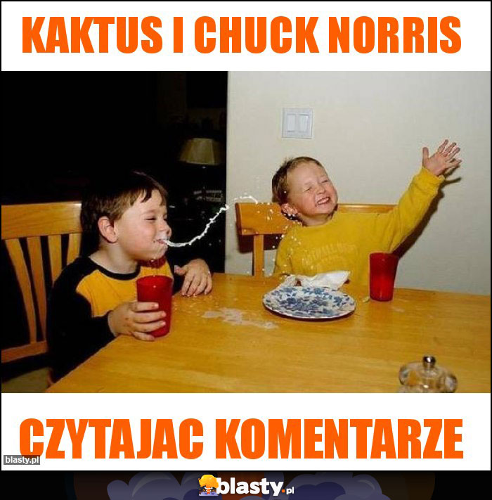 Kaktus i CHuck Norris