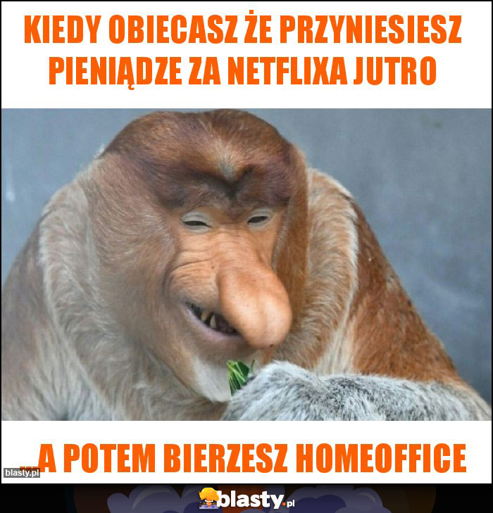 Kiedy obiecasz że przyniesiesz pieniądze za netflixa jutro