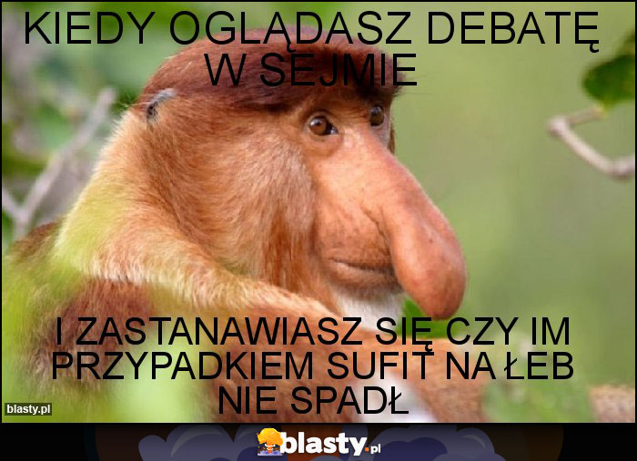kiedy oglądasz debatę w sejmie