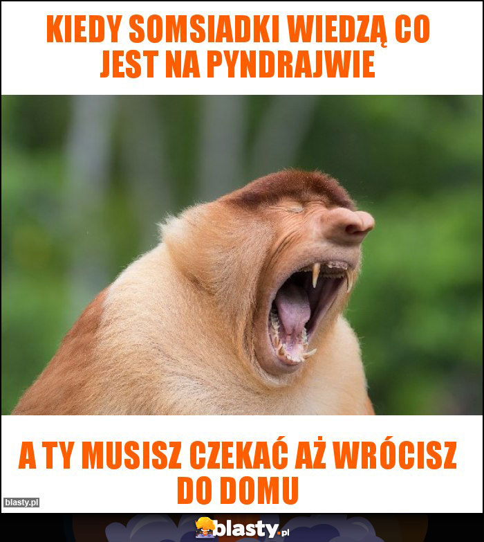kiedy somsiadki wiedzą co jest na pyndrajwie