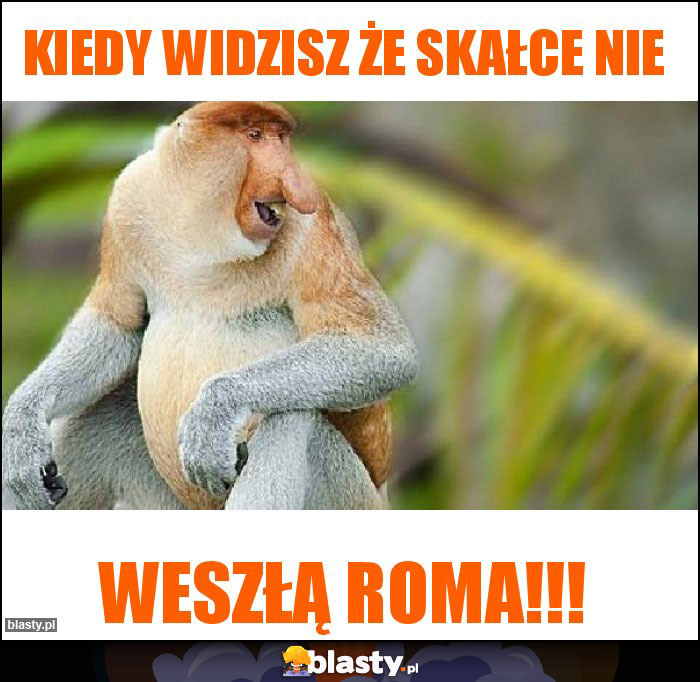 Kiedy widzisz że skałce nie