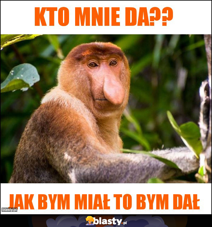 Kto mnie da??