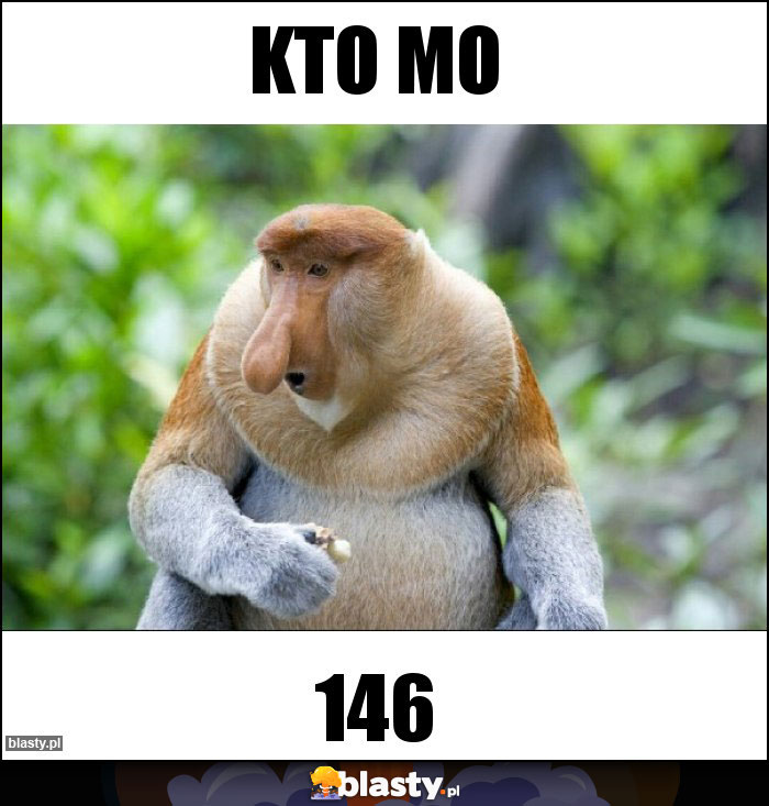 KTO MO