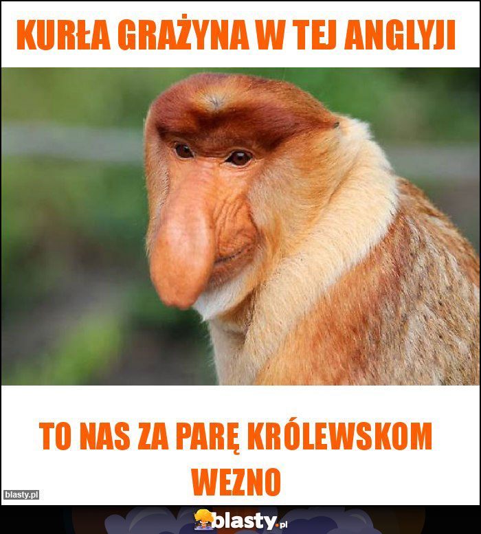 Kurła Grażyna w tej Anglyji