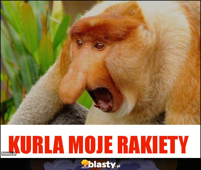 Kurla moje rakiety