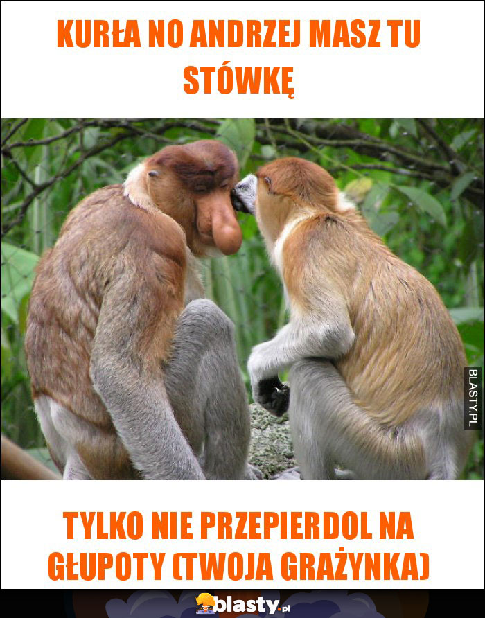 Kurła no andrzej masz tu stówkę
