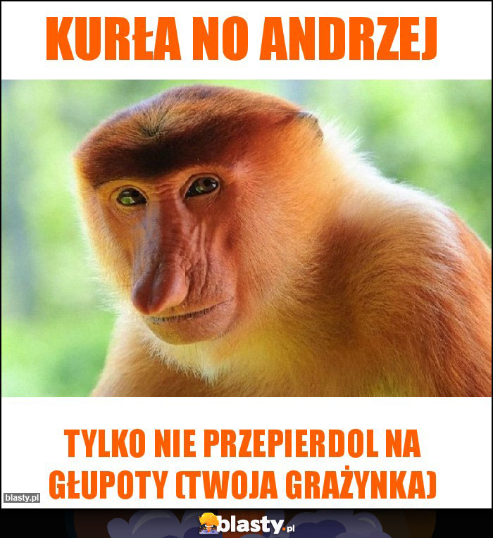 Kurła no Andrzej