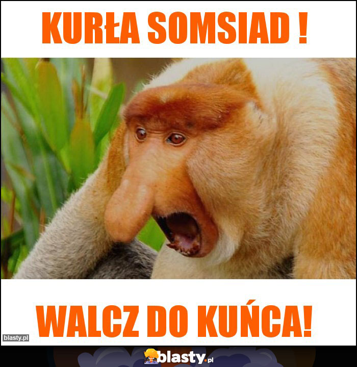 KURŁA SOMSIAD !