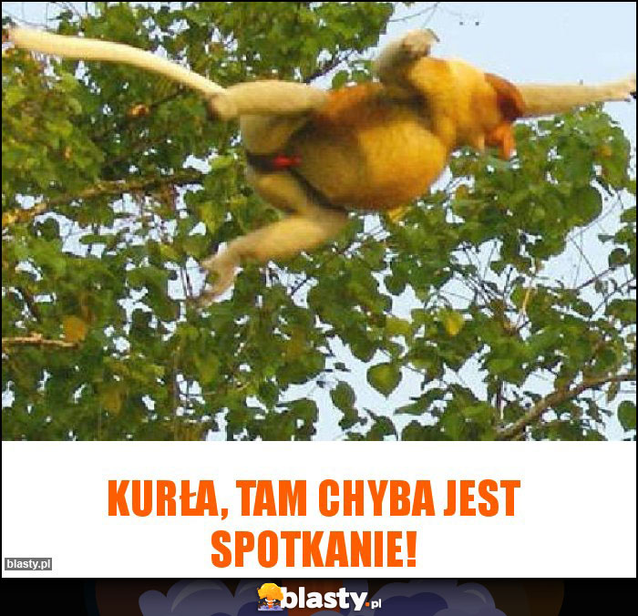 Kurła, tam chyba jest spotkanie!