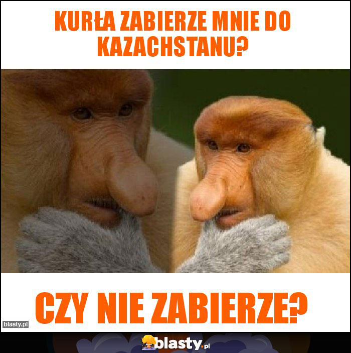 KURŁA ZABIERZE MNIE DO KAZACHSTANU?