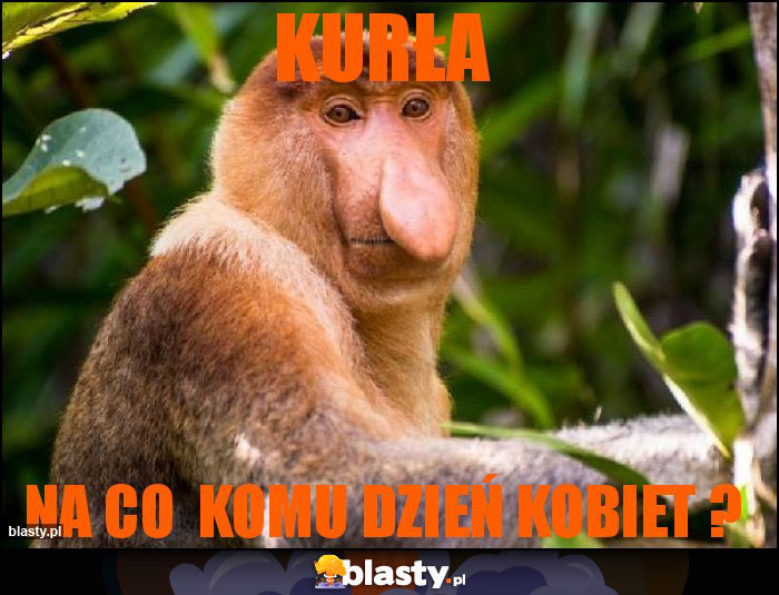 Kurła