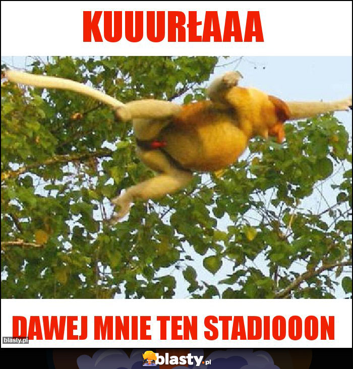 Kuuurłaaa