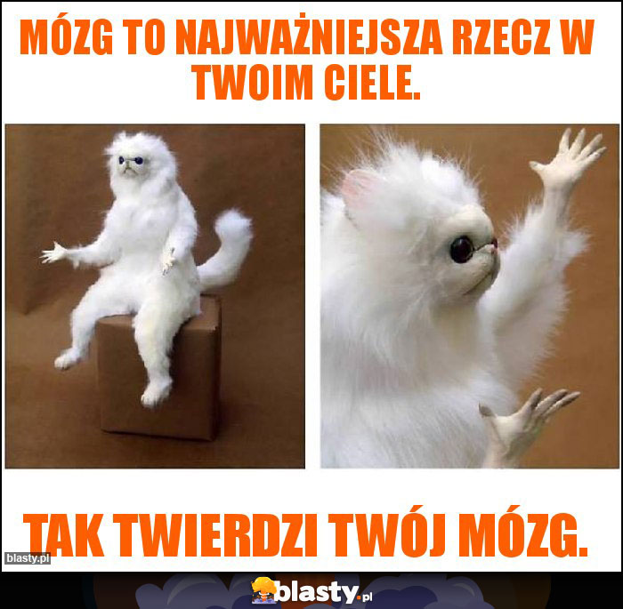 Mózg to najważniejsza rzecz w twoim ciele.