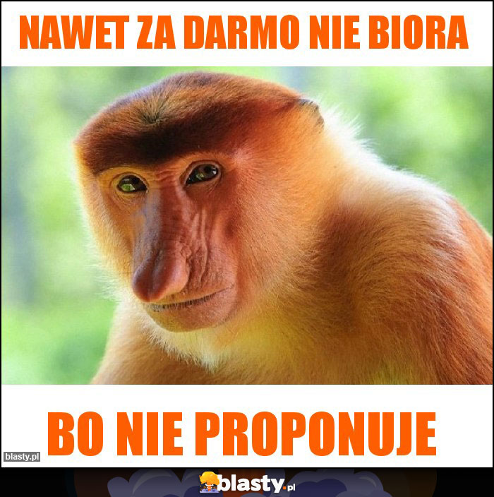 Nawet za darmo nie biora