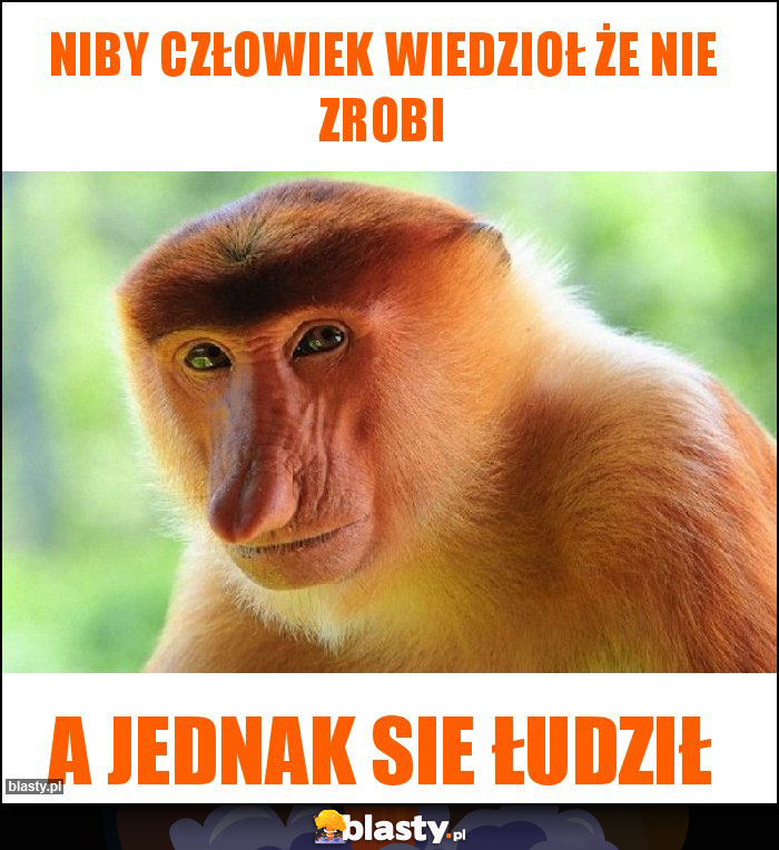 Niby człowiek wiedzioł że nie zrobi