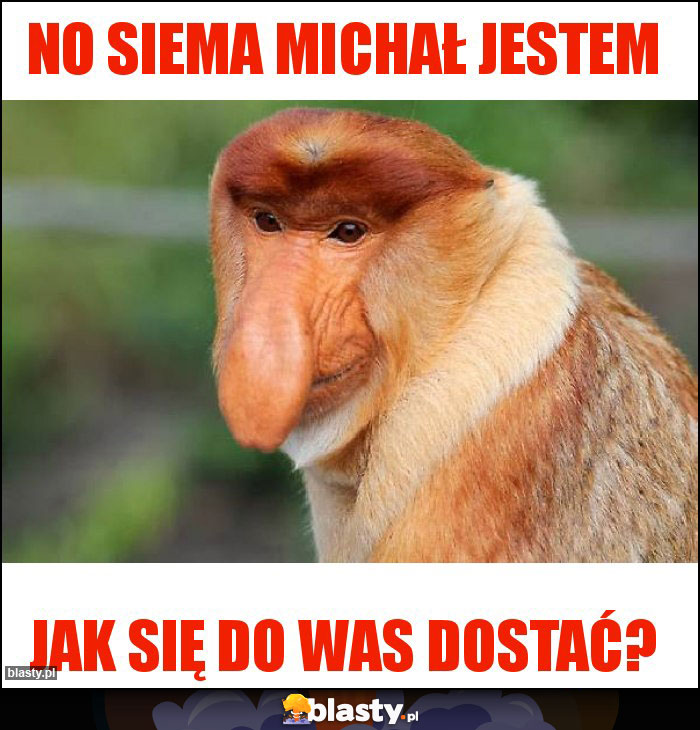 No siema michał jestem