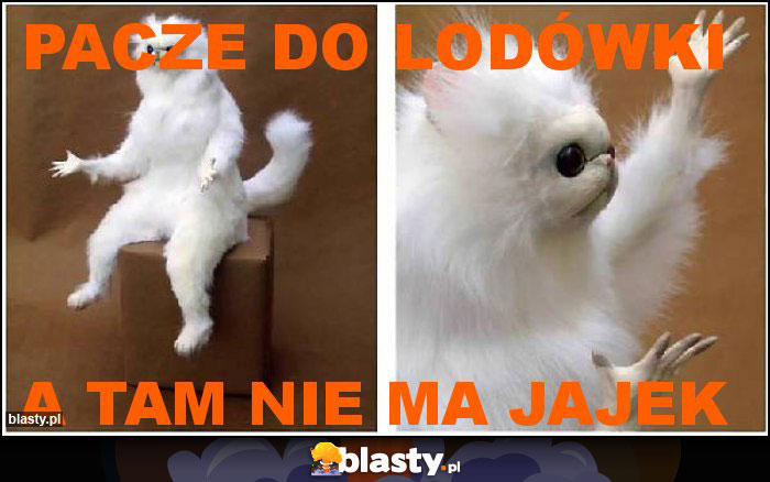 Pacze do lodówki