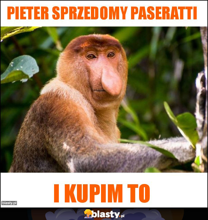 Pieter sprzedomy paseratti