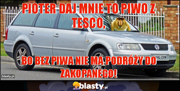 PIOTER DAJ MNIE TO PIWO Z TESCO,
