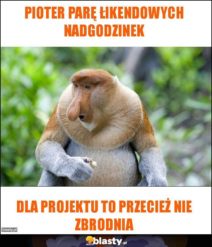 Pioter parę łikendowych nadgodzinek