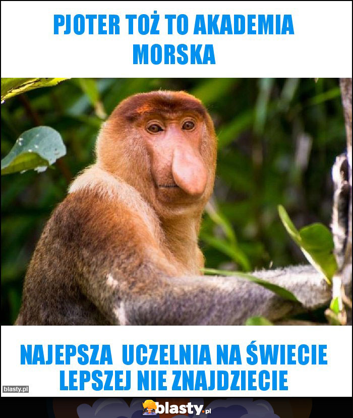 PJOTER TOŻ TO AKADEMIA MORSKA