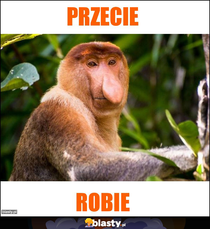 Przecie
