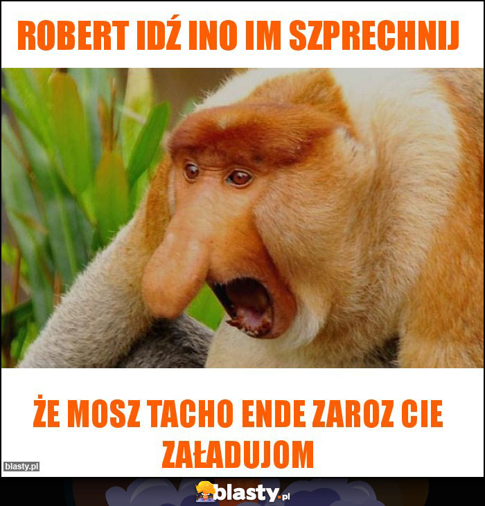 Robert idź ino im szprechnij