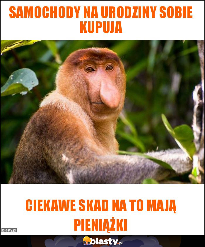 Samochody na urodziny sobie kupuja