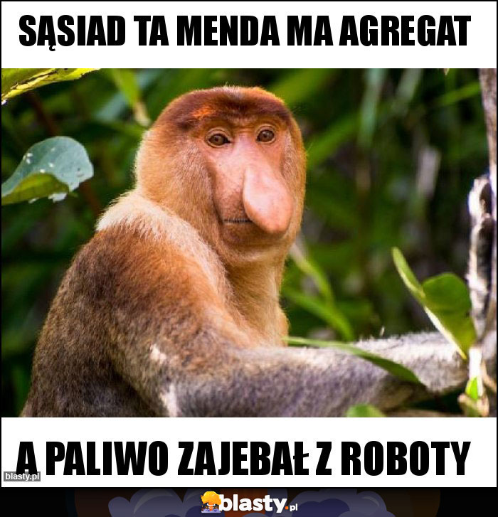 sąsiad ta menda ma agregat