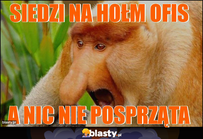 Siedzi na hołm ofis